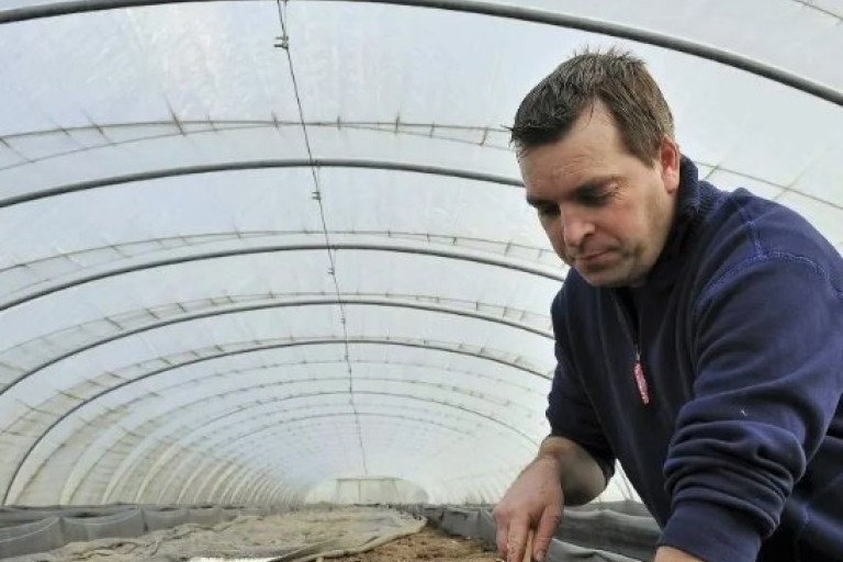 Aspergeteler steekt asperges