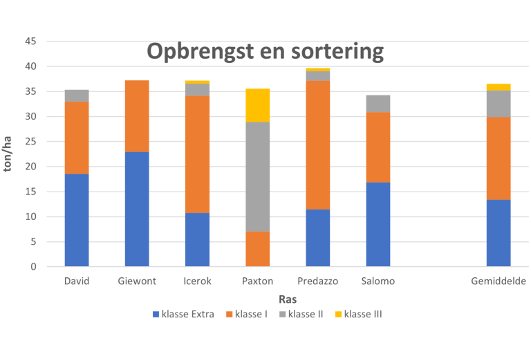 Grafiek van bloemkool rassenproef (zomer industrie 2024)