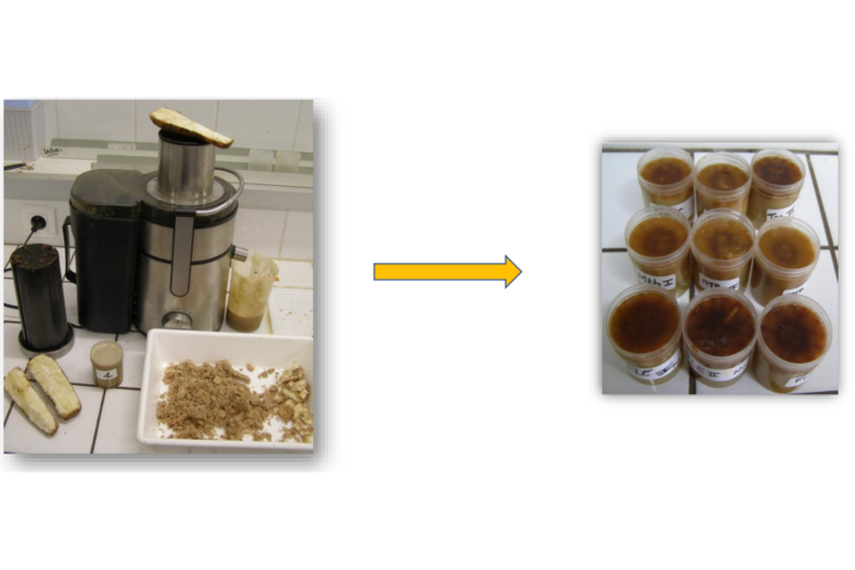 Witloofwortels centrifuge witloofwortelsap