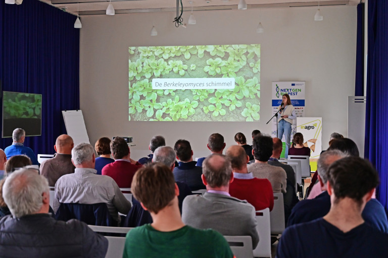 Berkveld slotevent