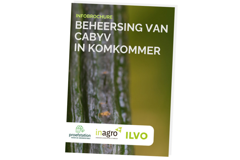 Brochure Cabyv