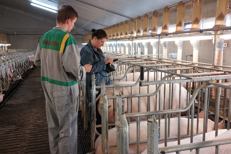 conditie zeugen echografie