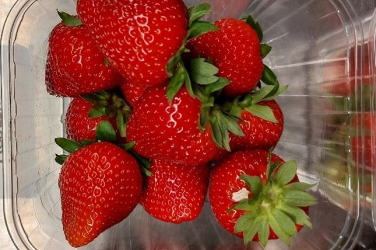 Bakje aardbeien, ras: Karima