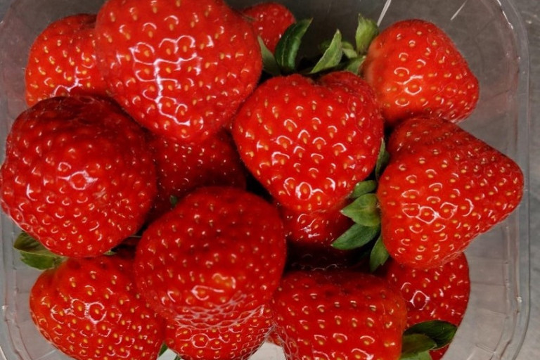 Bakje Verity: mooie aardbeien