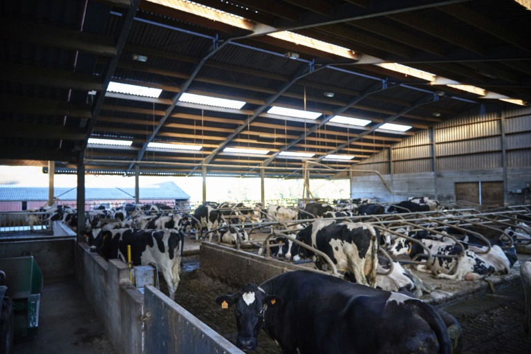 Agriclimate stal