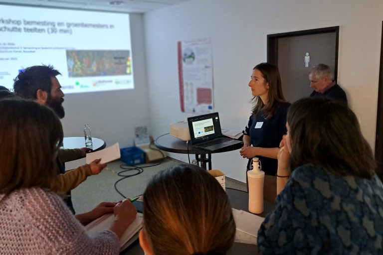 Interactieve workshop met kleine groep over de bemesting en het gebruik van groenbemesters in beschutte teelten
