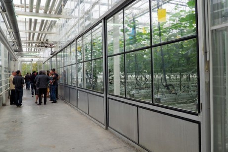 RE-Greenhouse bedrijf 2.jpg
