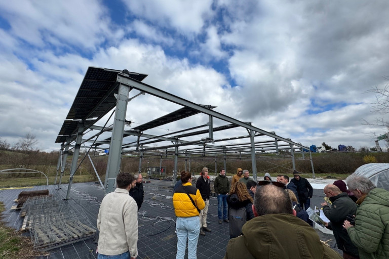 RE-Greenhouse bedrijf 4.jpg