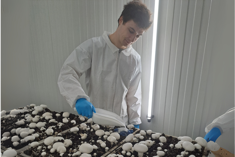 Michiel_paddenstoelen