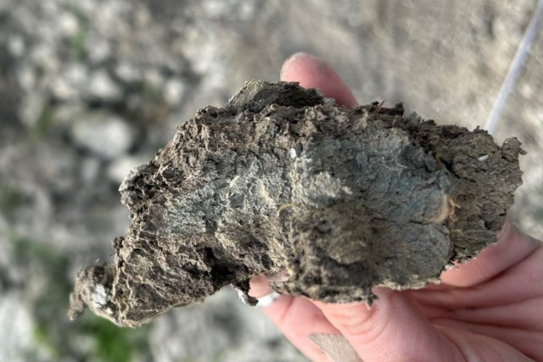 stukje aarde ploegzool met blauwverkleuring