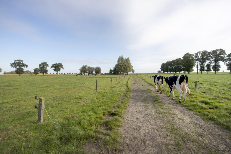 Inagro_Oedelem_Johan_Claeys-17