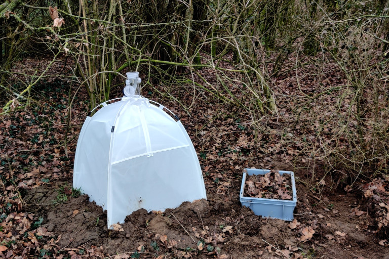 Uitsluipval voor aardvlo monitoring in de winter