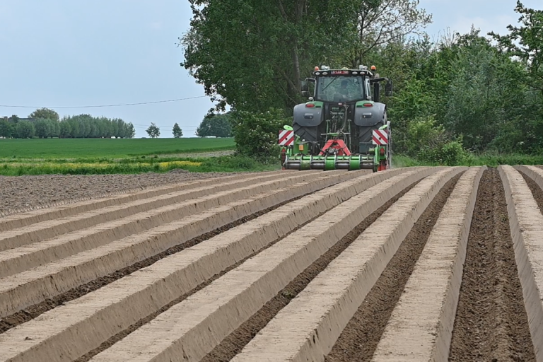Tractor die ruggen trekt voor witloofteelt op akker.