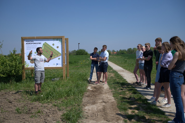 Perceel agroforestry
