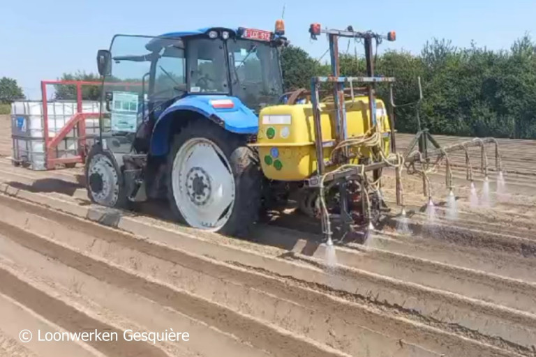 Bandirrigatie op akker met 8 rijen (copyright gesquière)