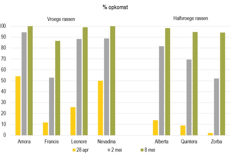 % opkomst vroege en halfvroege rassen 2025