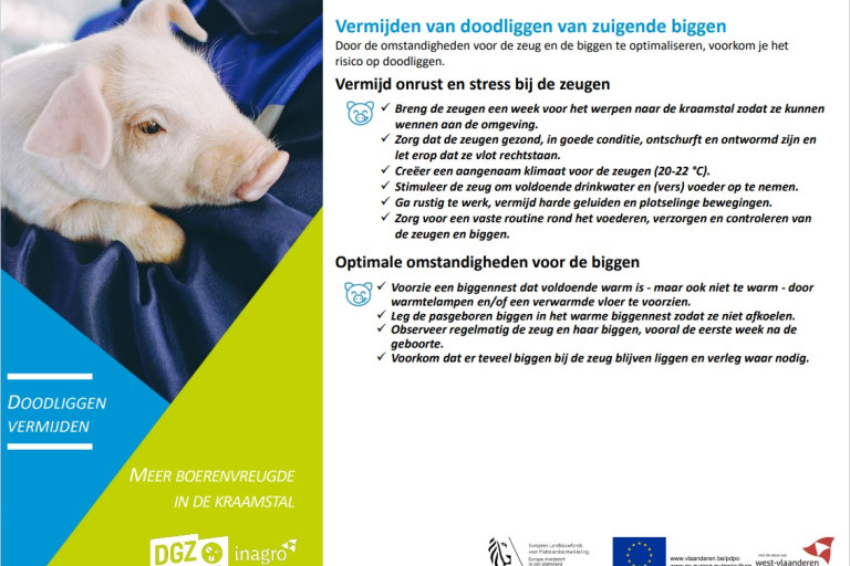 protocol boerenvreugde doodiggen vermijden