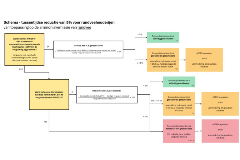 Stroomschema reductie rundveehouderij
