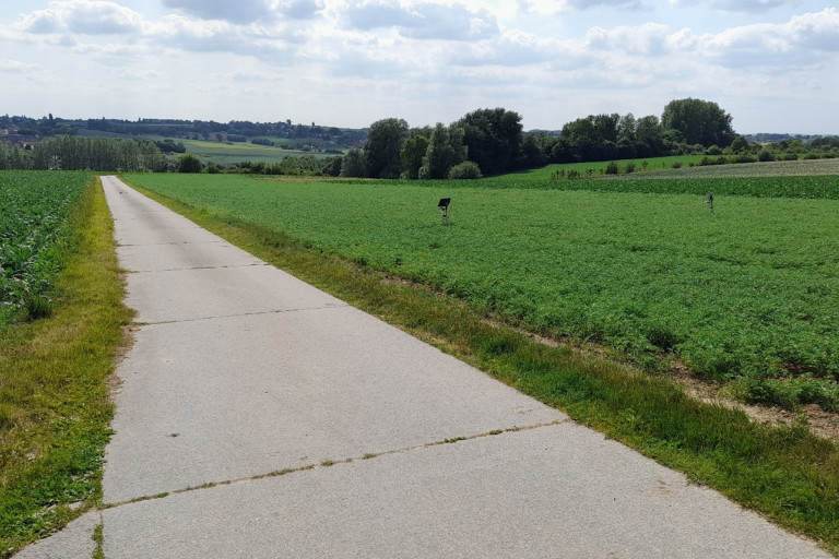 Sensoren in veld