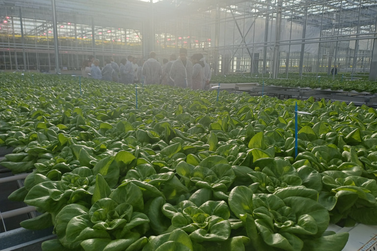 bezoek Bioboost-pro