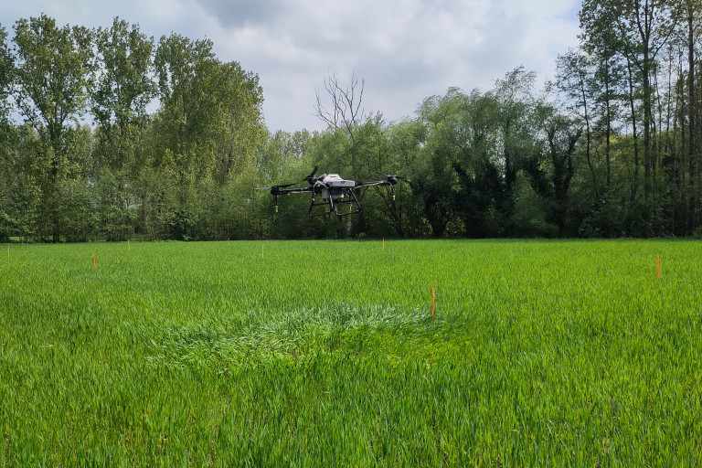 drone bespuiting inoculant
