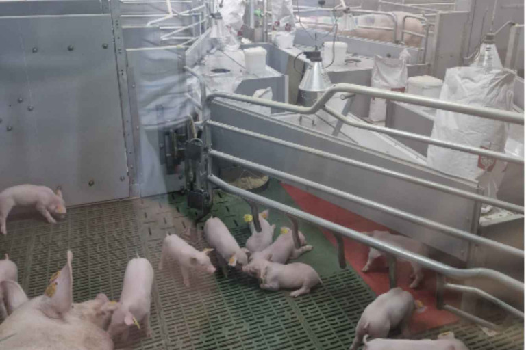 Biggen Zeug stal PVL