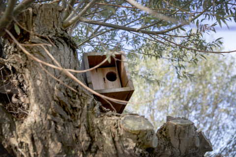 Nestkast