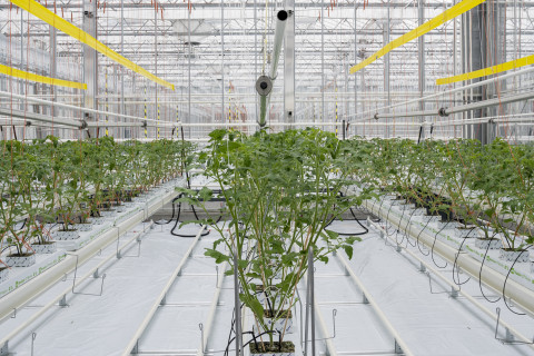 Infrastructuur Agrotopia
