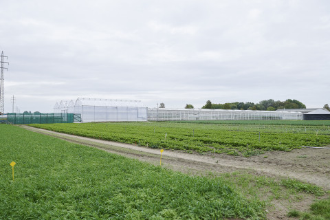 Proefvelden Inagro