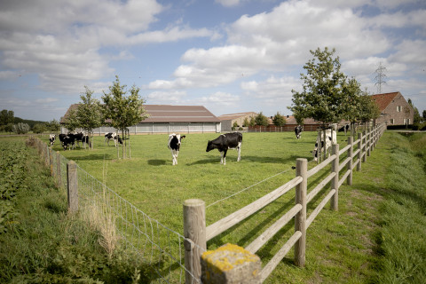 landschappelijke integratie 7