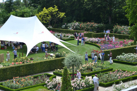 Rozenfeest