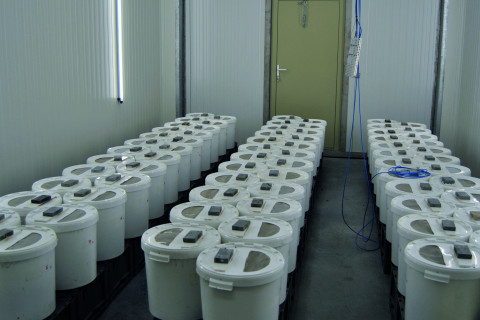 Research - infectious diseases insects