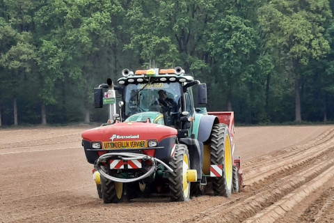 vloeibaar in de rij_aardappel
