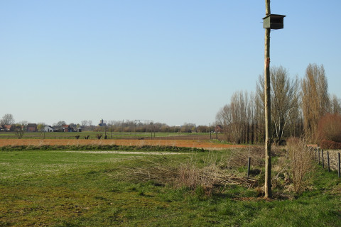 torenvalk kast demoperceel agronatuur landschapszicht