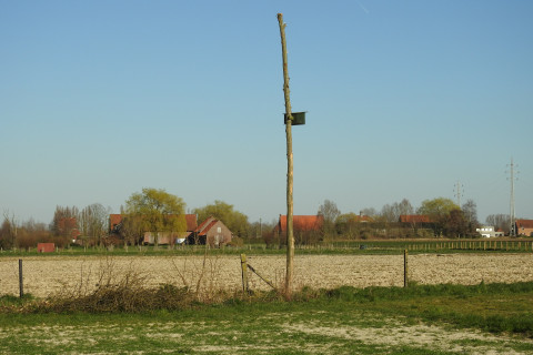 torenvalk kast demoperceel agronatuur landschapszicht 2