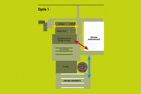Voorbeeld Bedrijfsontwikkeling Optie1