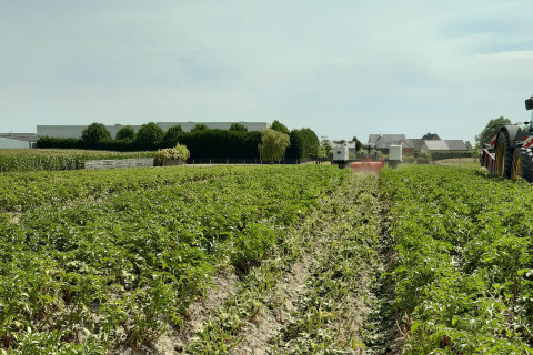 Loofklappen met Robotti