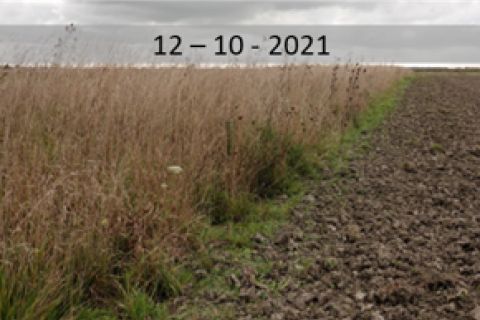 Keverbank Inagro oktober 2021
