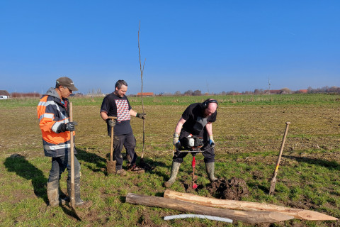 Aanplant bomen op het agroforestryperceel