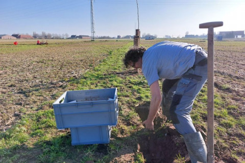 Staalname bodemincubatie agroforestry perceel