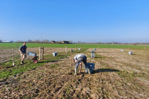 Staalname bodemincubatie agroforestry perceel