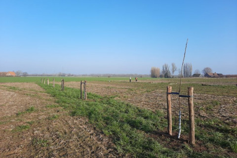 Agroforestry aanplant sfeerbeeld