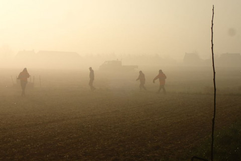 Agroforestry aanplant sfeerbeeld