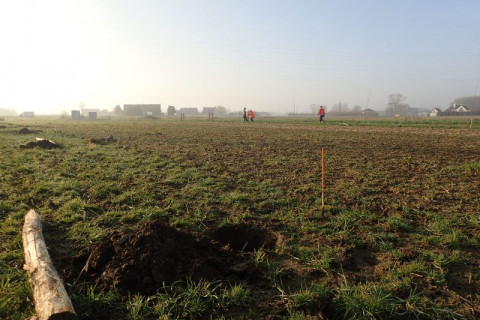 Agroforestry aanplant sfeerbeeld