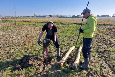 Agroforestry aanplant sfeerbeeld