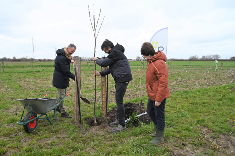 Agroforestry_aanplant_actie
