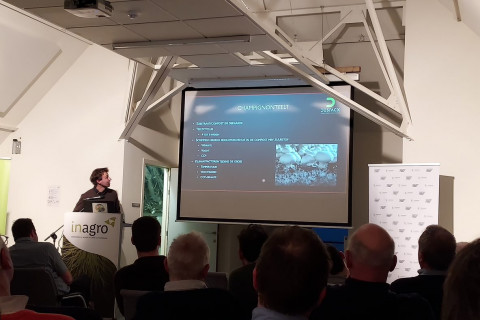Sfeerbeeld studieavond energie