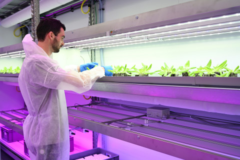 Meerlagenteelt Agrotopia