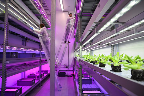 Meerlagenteelt Agrotopia