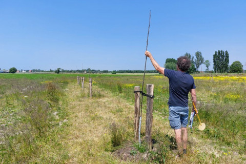 Niet alle walnoten zijn al uitgelopen